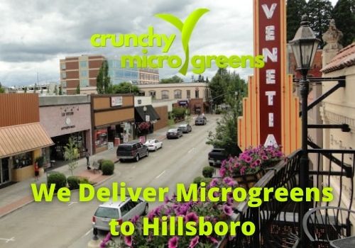 Crunchy Microgreens We Deliver Microgreens to Hillsboro