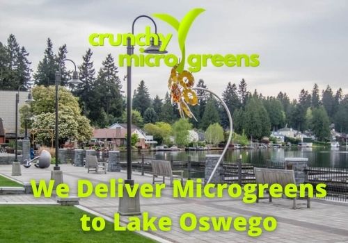 Crunchy Microgreens We Deliver Microgreens to Lake Oswego