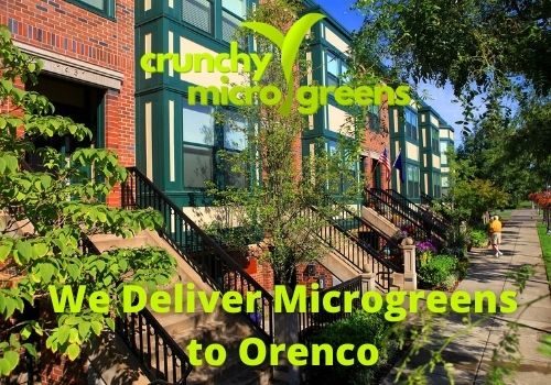 Crunchy Microgreens We Deliver Microgreens to Orenco