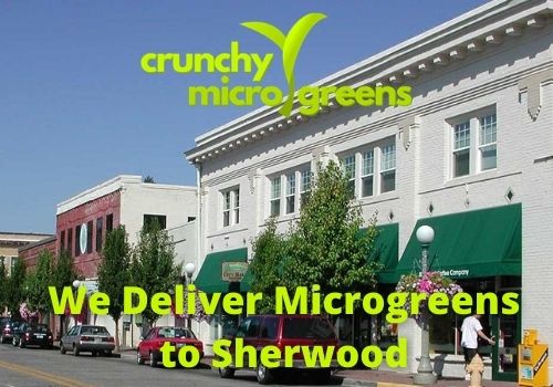 Crunchy Microgreens We Deliver Microgreens to Sherwood