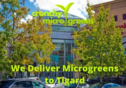 Crunchy Microgreens We Deliver Microgreens to Tigard