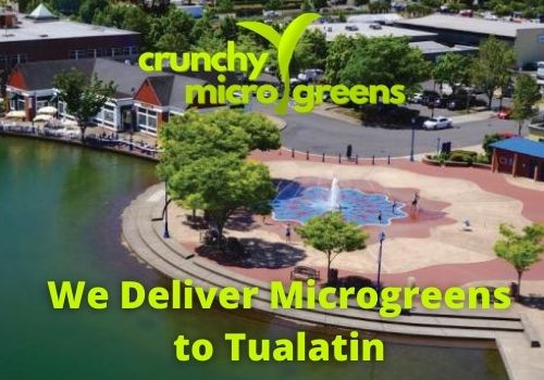 Crunchy Microgreens We Deliver Microgreens to Tualatin