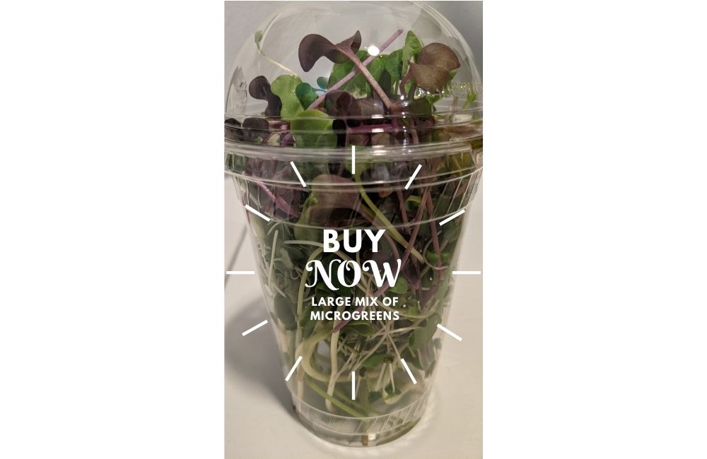 Cup of microgreens mix